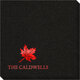 Little Autumn Leaf Linen Like Napkins Image 2 of 2